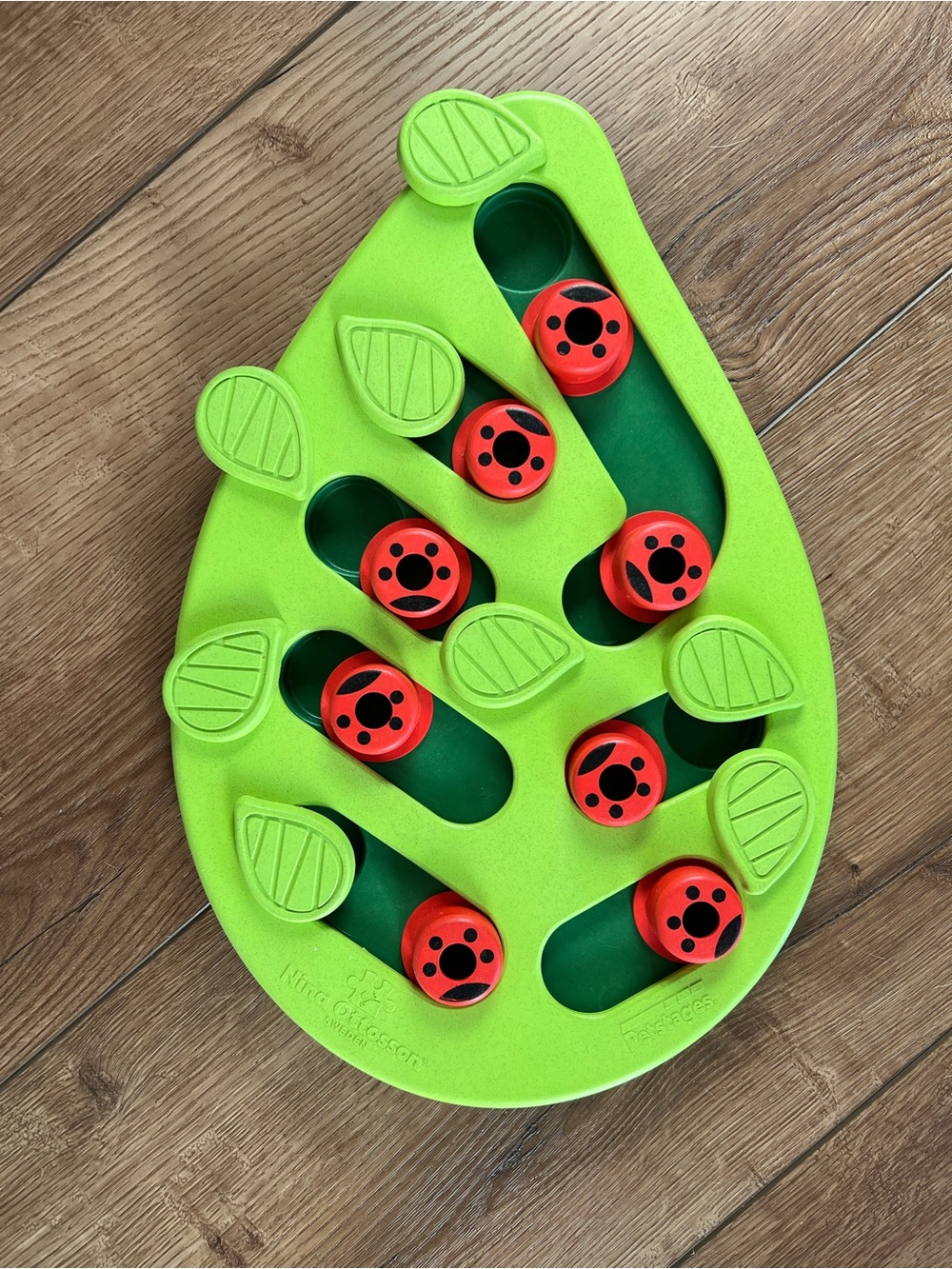 Buggin’ Out interactive Enrichment Puzzle Toy